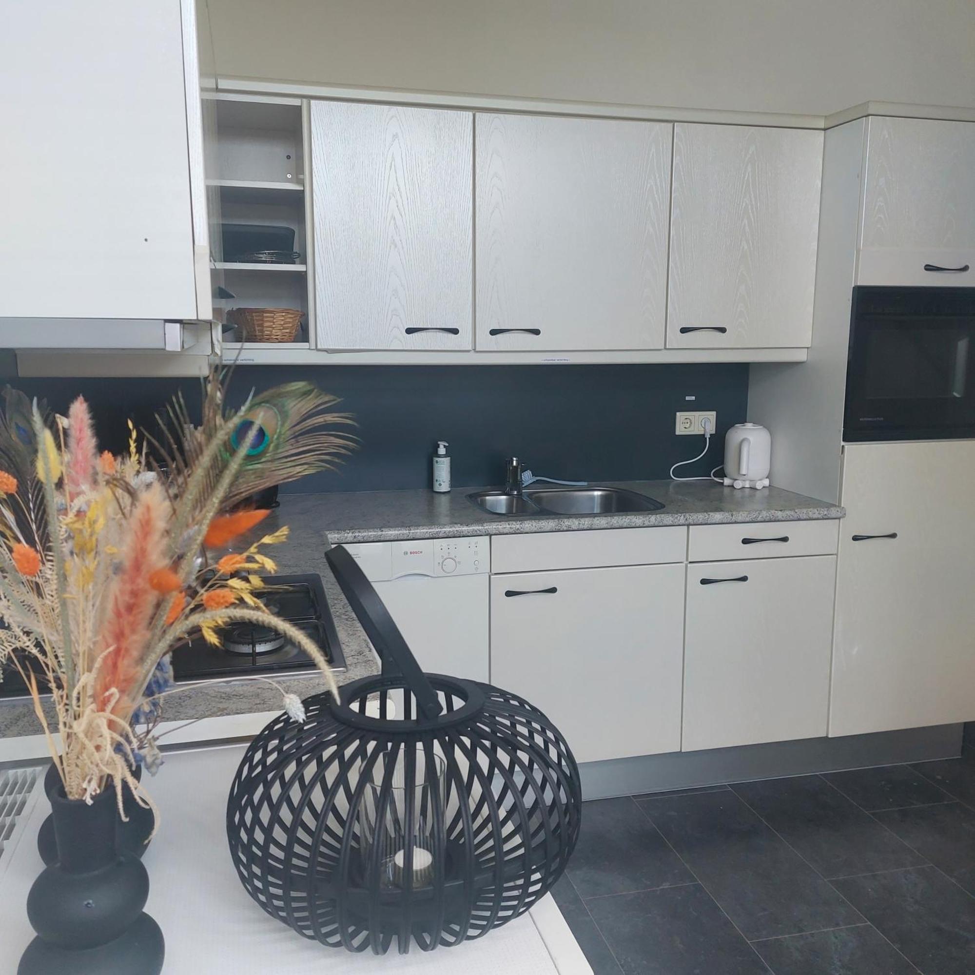 Hof Christina Vakantiewoningen Vrouwenpolder Εξωτερικό φωτογραφία